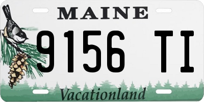 ME license plate 9156TI