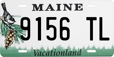 ME license plate 9156TL