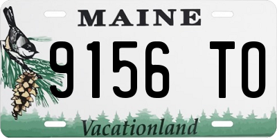 ME license plate 9156TO