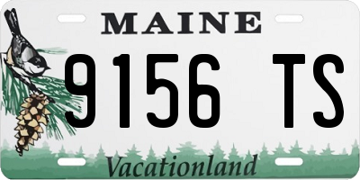 ME license plate 9156TS