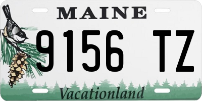 ME license plate 9156TZ