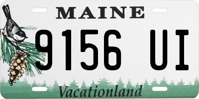 ME license plate 9156UI