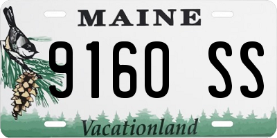 ME license plate 9160SS