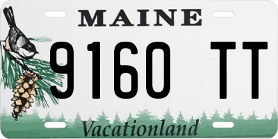 ME license plate 9160TT
