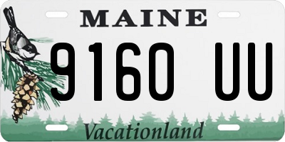 ME license plate 9160UU