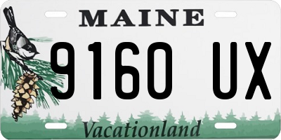 ME license plate 9160UX