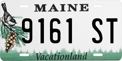 ME license plate 9161ST