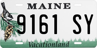 ME license plate 9161SY