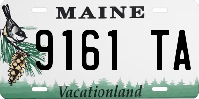 ME license plate 9161TA