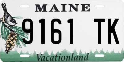 ME license plate 9161TK