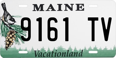 ME license plate 9161TV