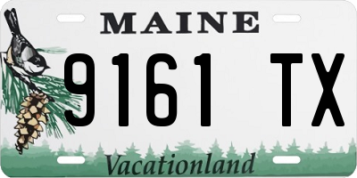 ME license plate 9161TX