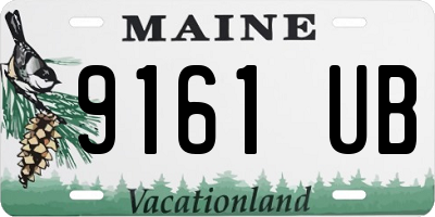ME license plate 9161UB