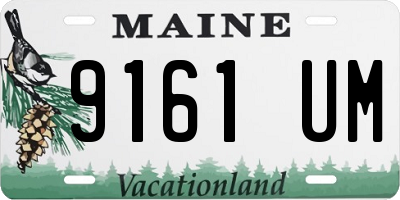 ME license plate 9161UM
