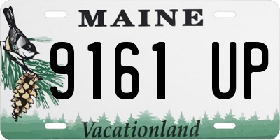 ME license plate 9161UP