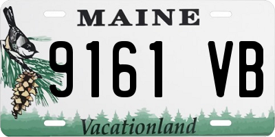 ME license plate 9161VB