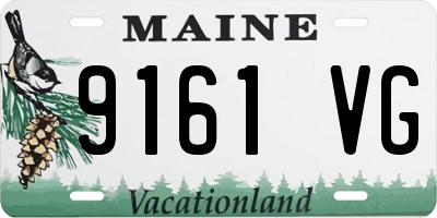ME license plate 9161VG