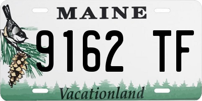 ME license plate 9162TF