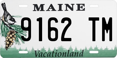 ME license plate 9162TM
