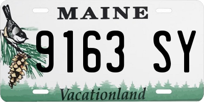 ME license plate 9163SY