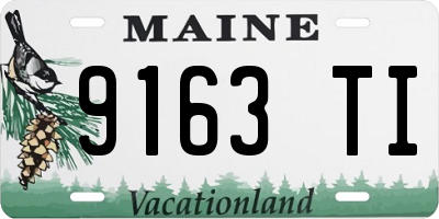 ME license plate 9163TI
