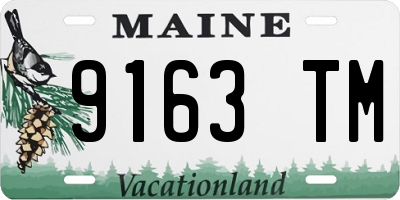 ME license plate 9163TM