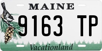 ME license plate 9163TP