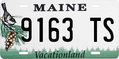 ME license plate 9163TS