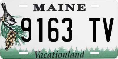ME license plate 9163TV