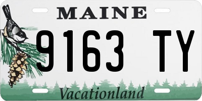 ME license plate 9163TY