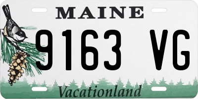 ME license plate 9163VG