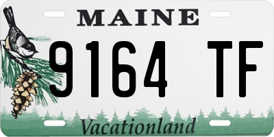 ME license plate 9164TF