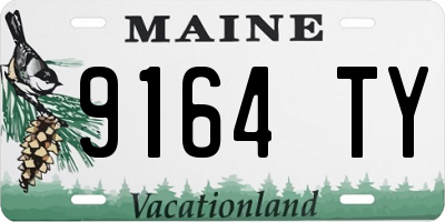 ME license plate 9164TY