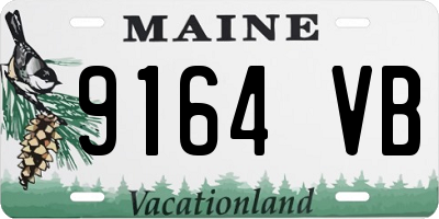 ME license plate 9164VB