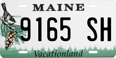 ME license plate 9165SH