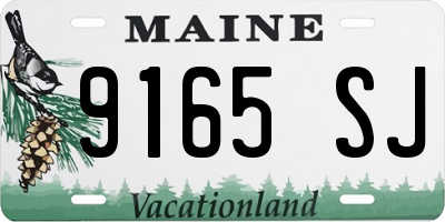 ME license plate 9165SJ