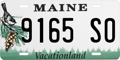 ME license plate 9165SO