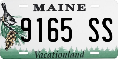 ME license plate 9165SS