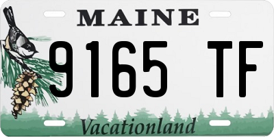 ME license plate 9165TF