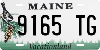 ME license plate 9165TG