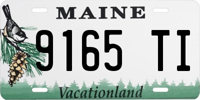 ME license plate 9165TI