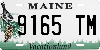 ME license plate 9165TM