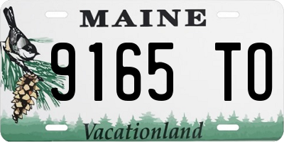 ME license plate 9165TO