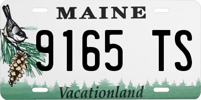 ME license plate 9165TS