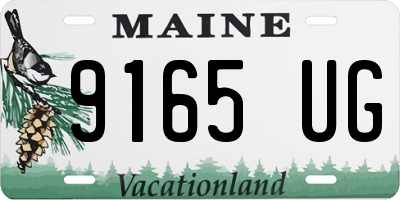 ME license plate 9165UG