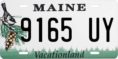ME license plate 9165UY