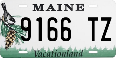 ME license plate 9166TZ