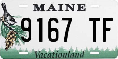 ME license plate 9167TF