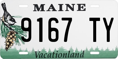 ME license plate 9167TY