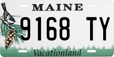 ME license plate 9168TY